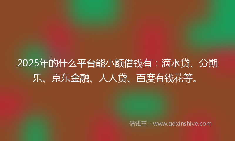 2025年的什么平台能小额借钱有：滴水贷、分期乐、京东金融、人人贷、百度有钱花等。