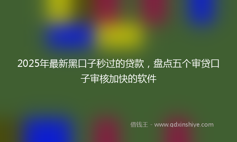 2025年最新黑口子秒过的贷款，盘点五个审贷口子审核加快的软件