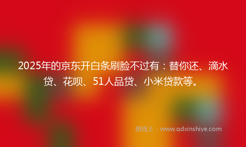 2025年的京东开白条刷脸不过有：替你还、滴水贷、花呗、51人品贷、小米贷款等。