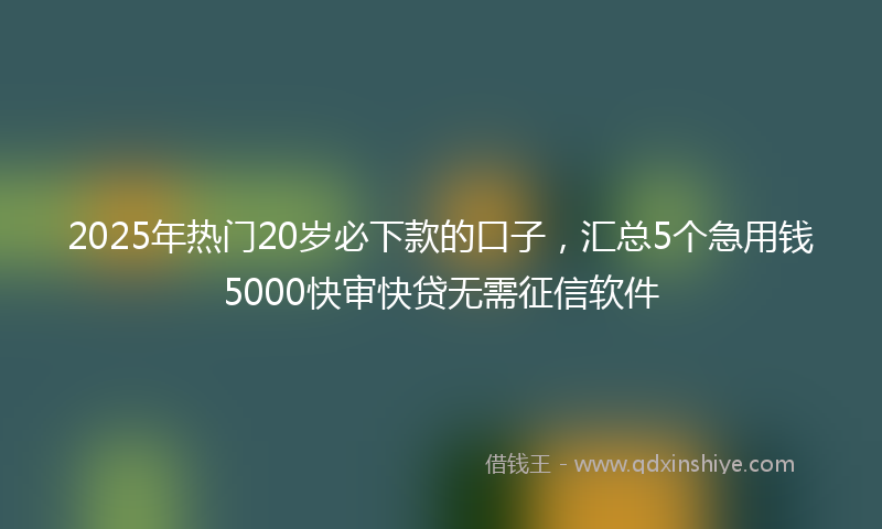 2025年热门20岁必下款的口子，汇总5个急用钱5000快审快贷无需征信软件