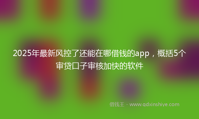 2025年最新风控了还能在哪借钱的app，概括5个审贷口子审核加快的软件