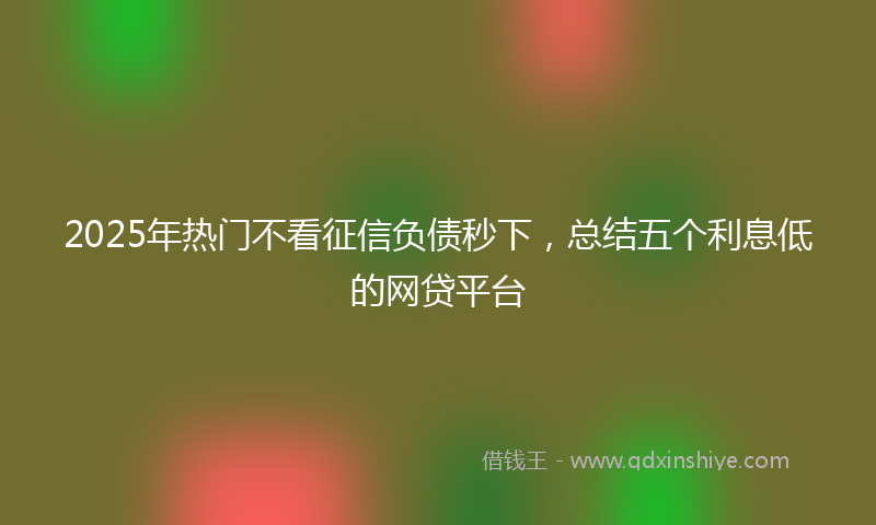 2025年热门不看征信负债秒下，总结五个利息低的网贷平台