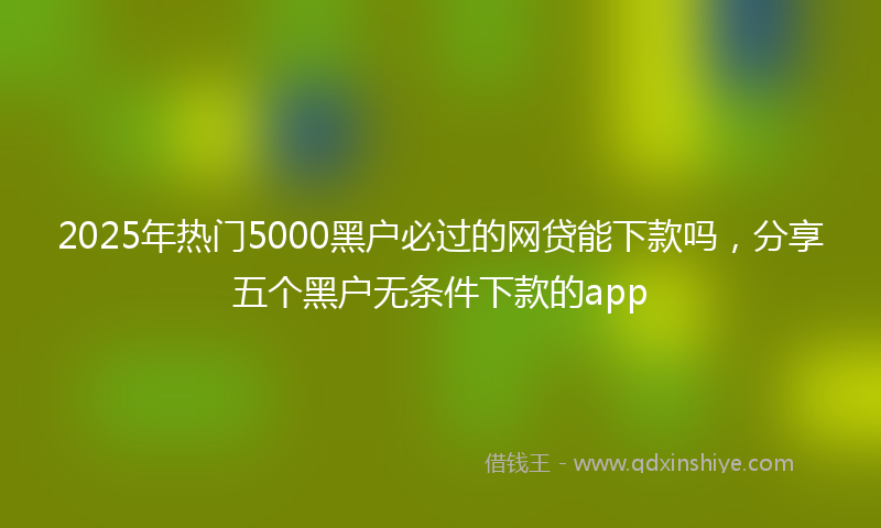 2025年热门5000黑户必过的网贷能下款吗，分享五个黑户无条件下款的app