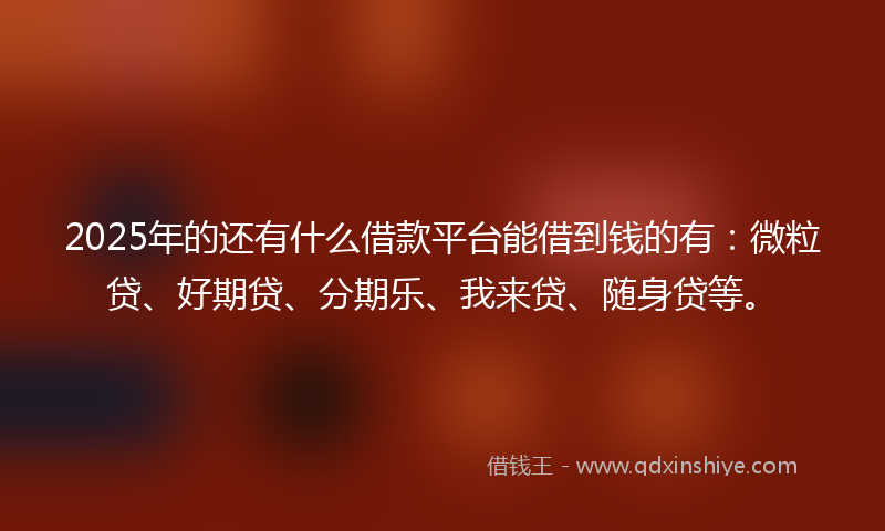 2025年的还有什么借款平台能借到钱的有：微粒贷、好期贷、分期乐、我来贷、随身贷等。