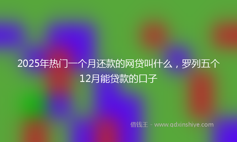 2025年热门一个月还款的网贷叫什么，罗列五个12月能贷款的口子