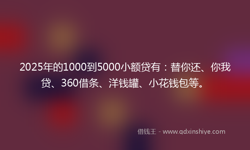 2025年的1000到5000小额贷有：替你还、你我贷、360借条、洋钱罐、小花钱包等。