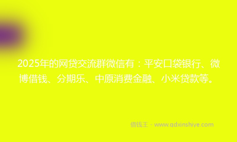2025年的网贷交流群微信有：平安口袋银行、微博借钱、分期乐、中原消费金融、小米贷款等。