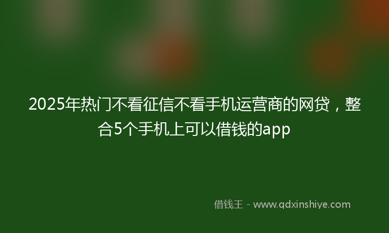 2025年热门不看征信不看手机运营商的网贷，整合5个手机上可以借钱的app