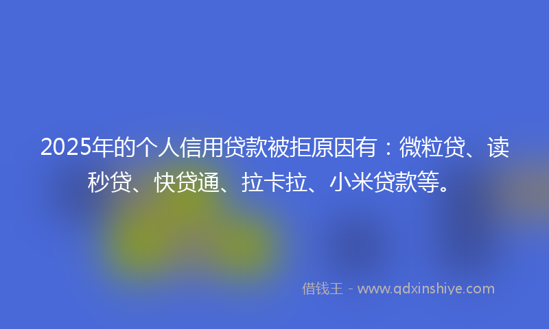 2025年的个人信用贷款被拒原因有：微粒贷、读秒贷、快贷通、拉卡拉、小米贷款等。