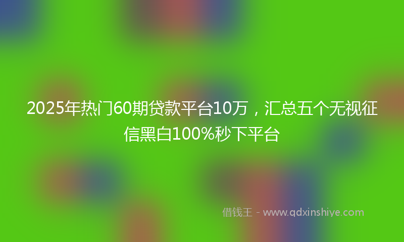 2025年热门60期贷款平台10万，汇总五个无视征信黑白100%秒下平台