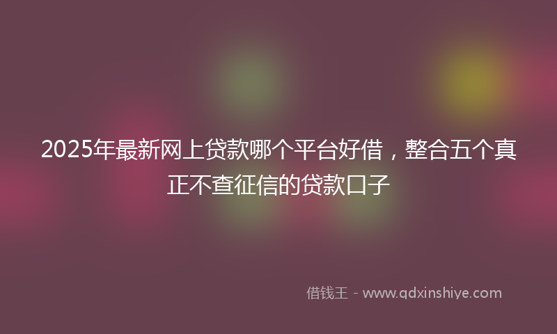 2025年最新网上贷款哪个平台好借，整合五个真正不查征信的贷款口子