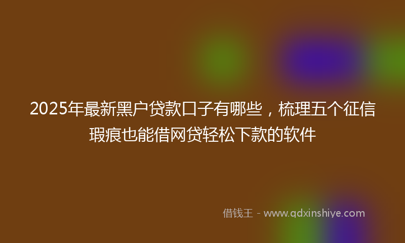 2025年最新黑户贷款口子有哪些，梳理五个征信瑕疵也能借网贷轻松下款的软件