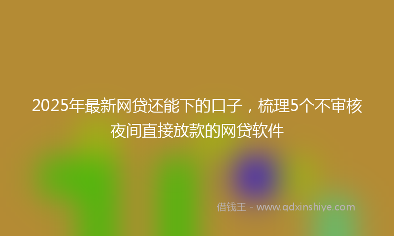 2025年最新网贷还能下的口子，梳理5个不审核夜间直接放款的网贷软件