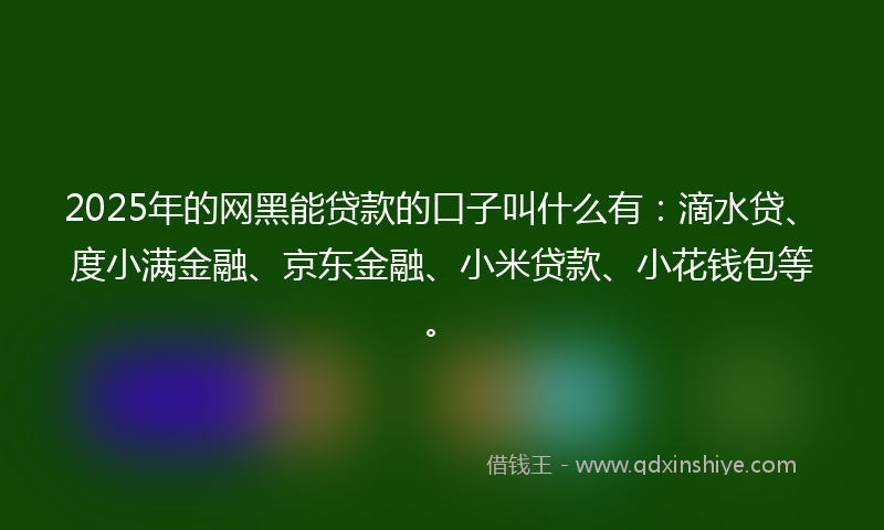2025年的网黑能贷款的口子叫什么有：滴水贷、度小满金融、京东金融、小米贷款、小花钱包等。