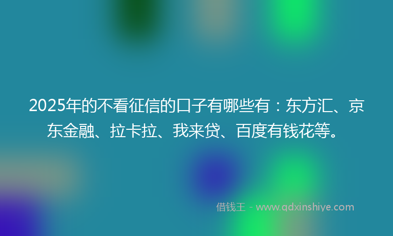 2025年的不看征信的口子有哪些有：东方汇、京东金融、拉卡拉、我来贷、百度有钱花等。