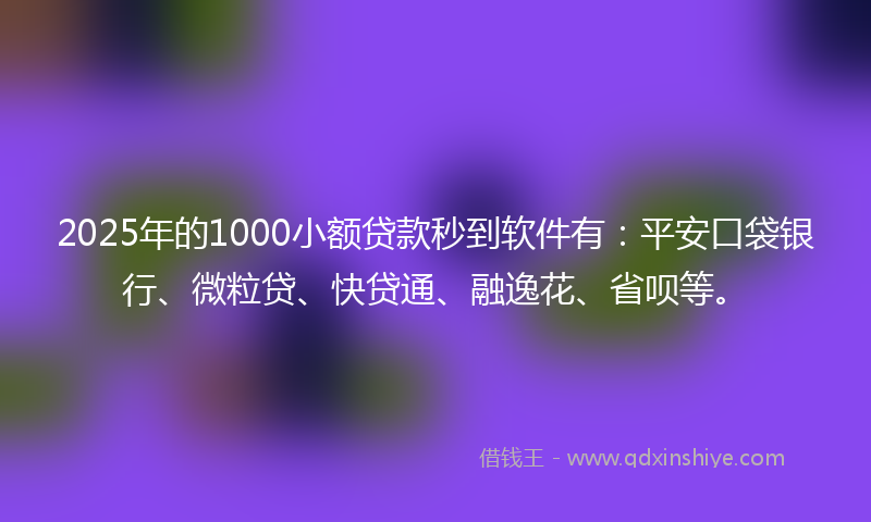 2025年的1000小额贷款秒到软件有：平安口袋银行、微粒贷、快贷通、融逸花、省呗等。