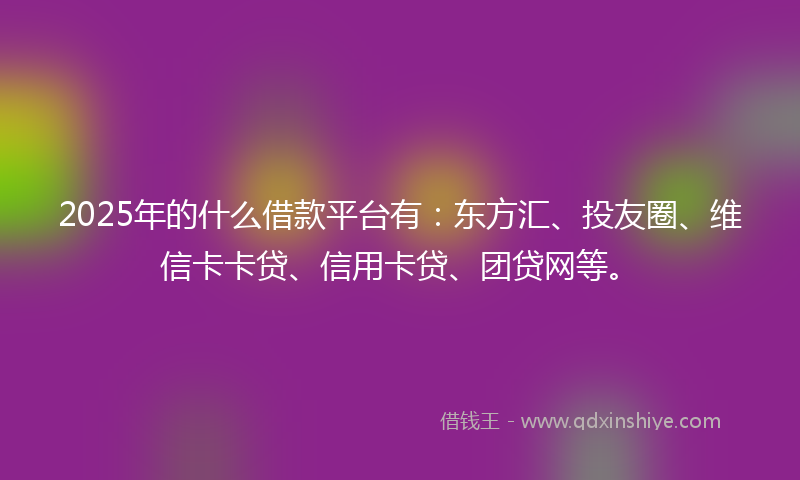 2025年的什么借款平台有：东方汇、投友圈、维信卡卡贷、信用卡贷、团贷网等。