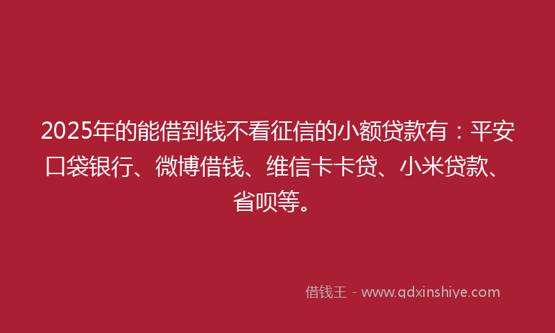 2025年的能借到钱不看征信的小额贷款有：平安口袋银行、微博借钱、维信卡卡贷、小米贷款、省呗等。