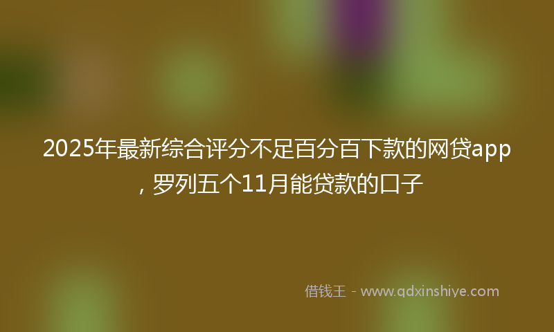 2025年最新综合评分不足百分百下款的网贷app，罗列五个11月能贷款的口子