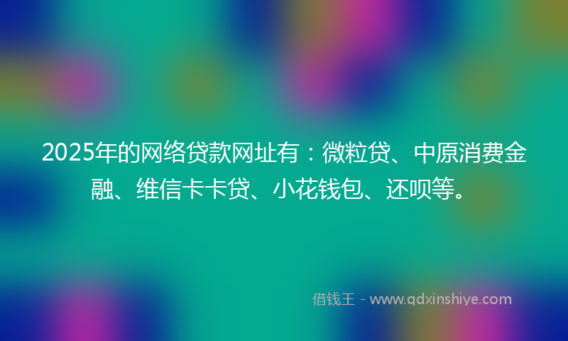 2025年的网络贷款网址有：微粒贷、中原消费金融、维信卡卡贷、小花钱包、还呗等。