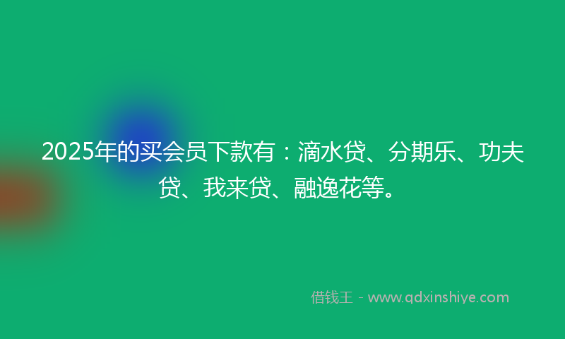 2025年的买会员下款有：滴水贷、分期乐、功夫贷、我来贷、融逸花等。