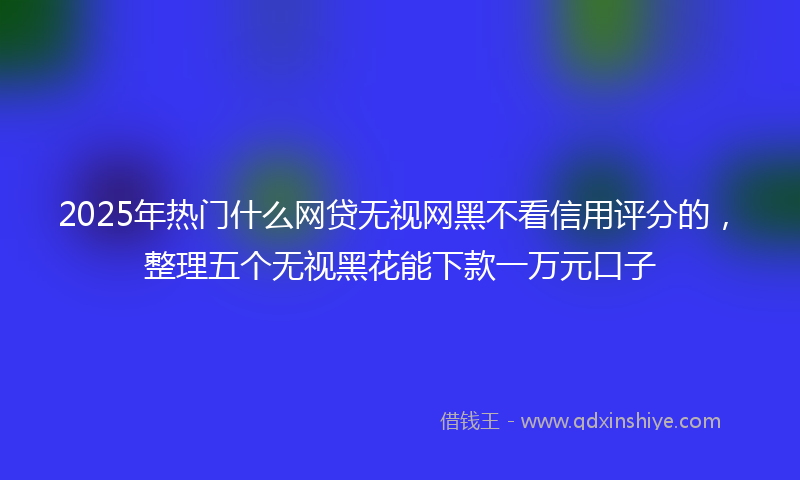 2025年热门什么网贷无视网黑不看信用评分的，整理五个无视黑花能下款一万元口子
