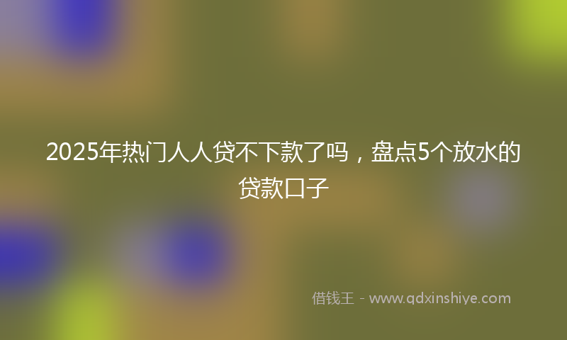 2025年热门人人贷不下款了吗，盘点5个放水的贷款口子