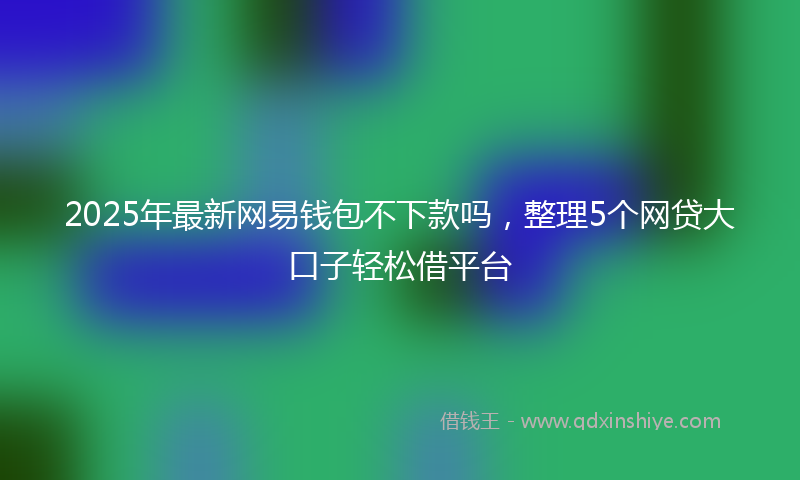 2025年最新网易钱包不下款吗，整理5个网贷大口子轻松借平台