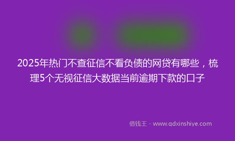 2025年热门不查征信不看负债的网贷有哪些，梳理5个无视征信大数据当前逾期下款的口子