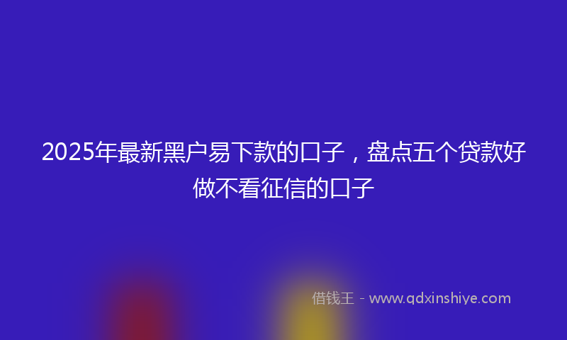 2025年最新黑户易下款的口子,盘点五个贷款好做不看征信的口子