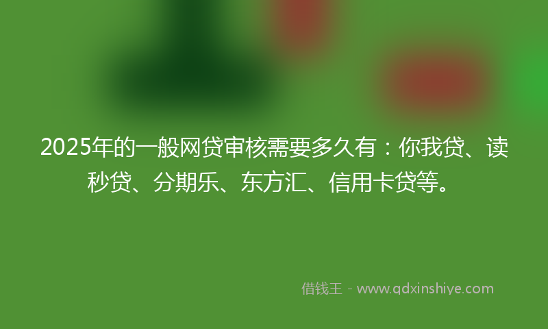 2025年的一般网贷审核需要多久有：你我贷、读秒贷、分期乐、东方汇、信用卡贷等。