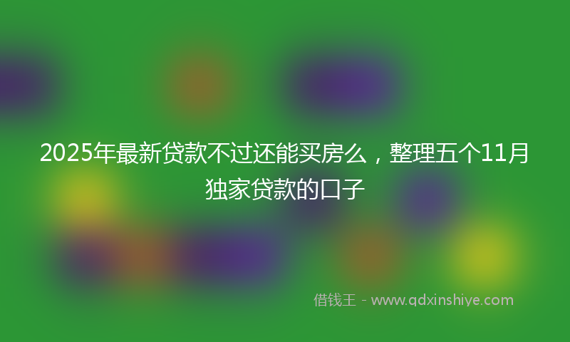 2025年最新贷款不过还能买房么，整理五个11月独家贷款的口子