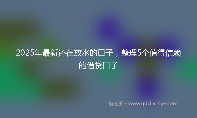2025年最新还在放水的口子，整理5个值得信赖的借贷口子