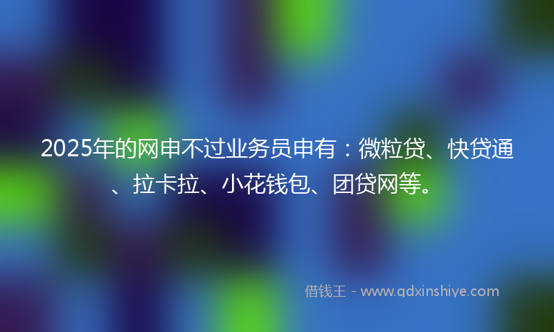2025年的网申不过业务员申有：微粒贷、快贷通、拉卡拉、小花钱包、团贷网等。