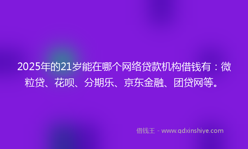 2025年的21岁能在哪个网络贷款机构借钱有：微粒贷、花呗、分期乐、京东金融、团贷网等。