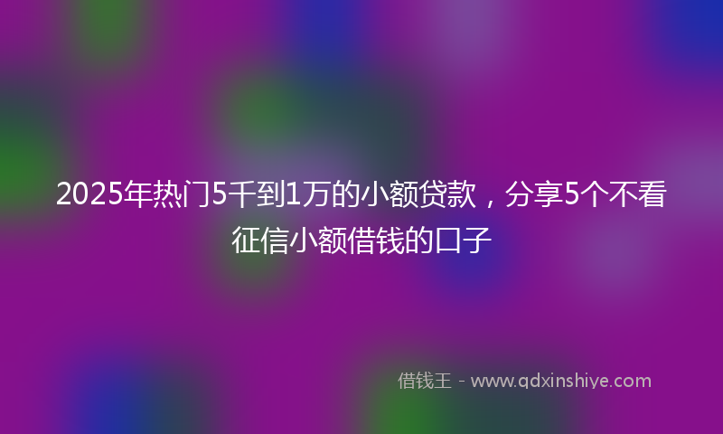 2025年热门5千到1万的小额贷款，分享5个不看征信小额借钱的口子