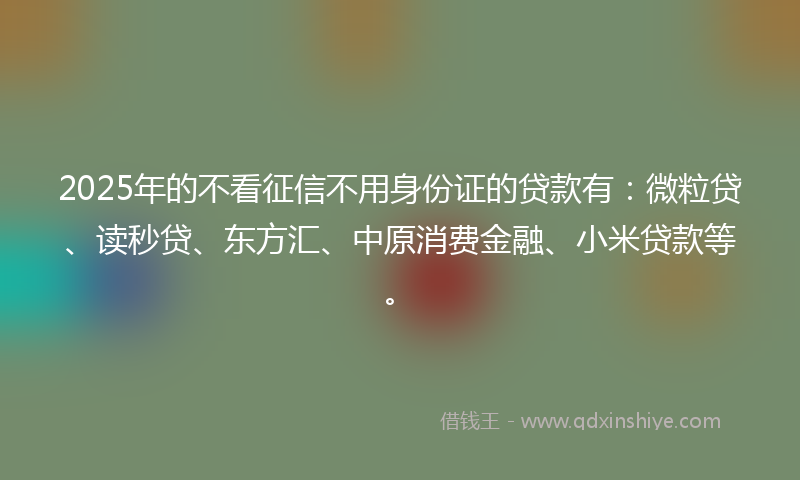 2025年的不看征信不用身份证的贷款有：微粒贷、读秒贷、东方汇、中原消费金融、小米贷款等。