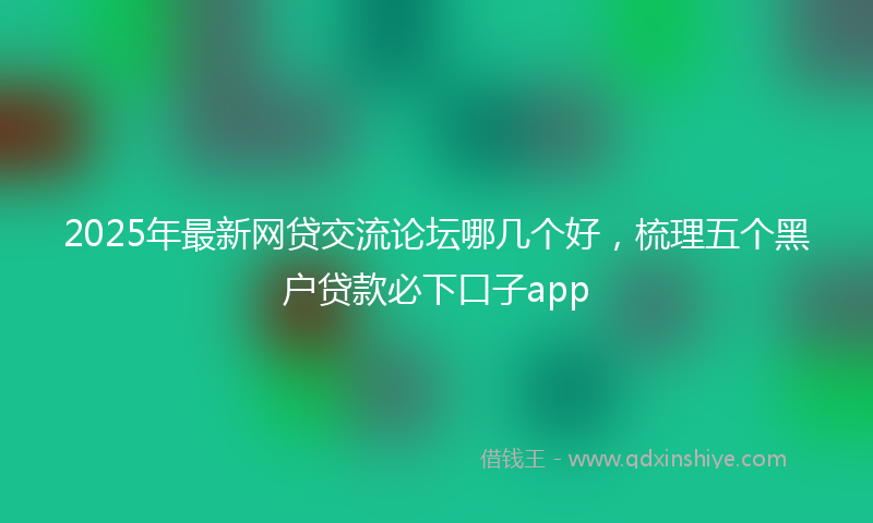 2025年最新网贷交流论坛哪几个好，梳理五个黑户贷款必下口子app