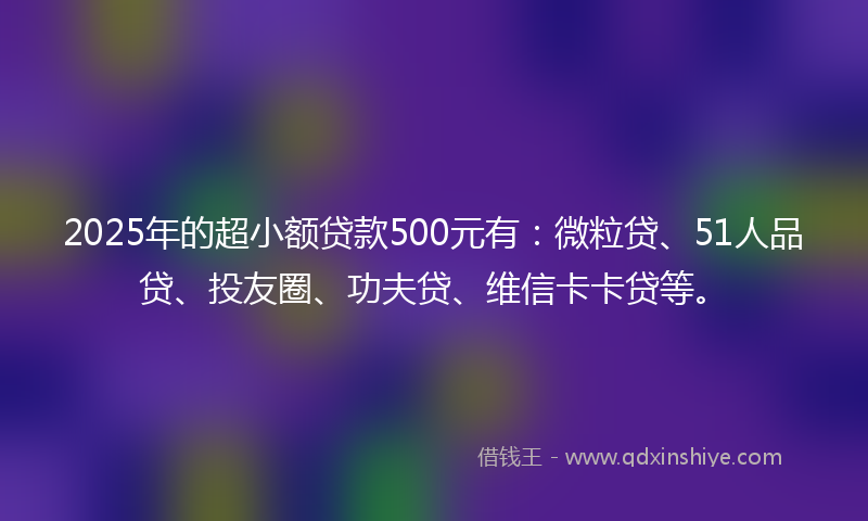 2025年的超小额贷款500元有：微粒贷、51人品贷、投友圈、功夫贷、维信卡卡贷等。