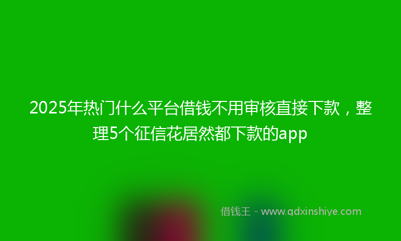 2025年热门什么平台借钱不用审核直接下款，整理5个征信花居然都下款的app