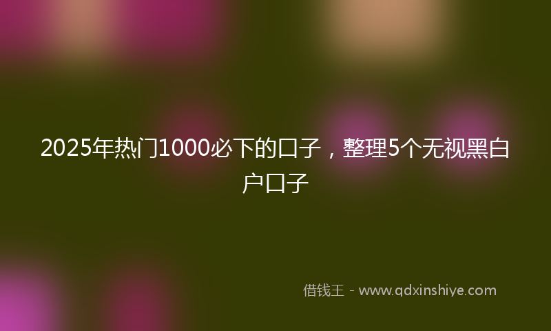 2025年热门1000必下的口子，整理5个无视黑白户口子