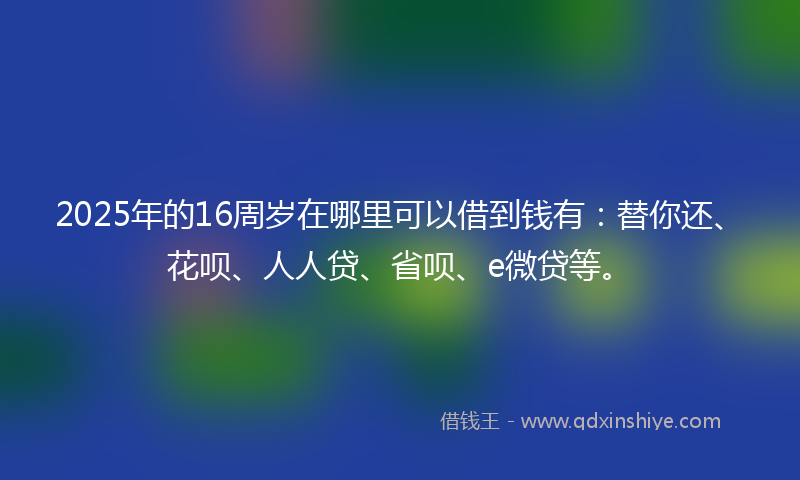 2025年的16周岁在哪里可以借到钱有：替你还、花呗、人人贷、省呗、e微贷等。