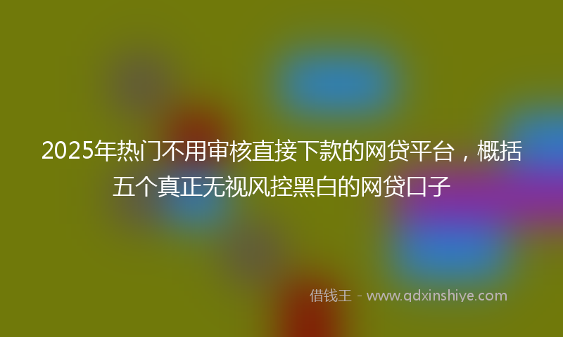 2025年热门不用审核直接下款的网贷平台，概括五个真正无视风控黑白的网贷口子