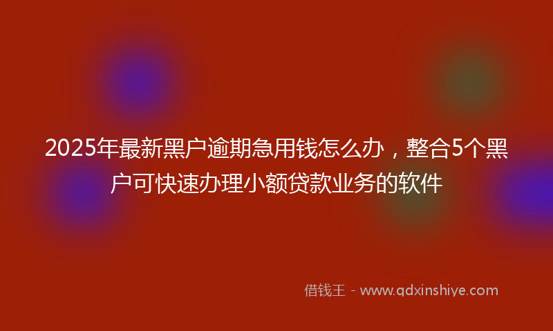 2025年最新黑户逾期急用钱怎么办，整合5个黑户可快速办理小额贷款业务的软件