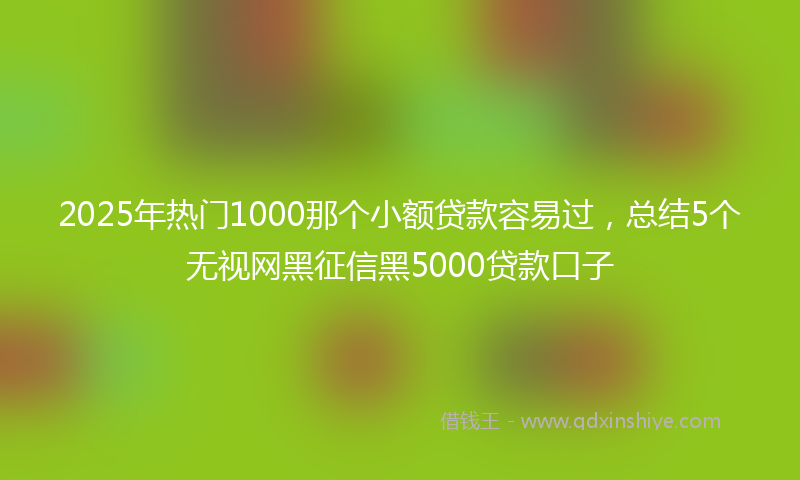 2025年热门1000那个小额贷款容易过，总结5个无视网黑征信黑5000贷款口子