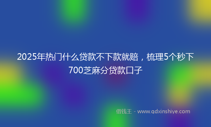 2025年热门什么贷款不下款就赔，梳理5个秒下700芝麻分贷款口子