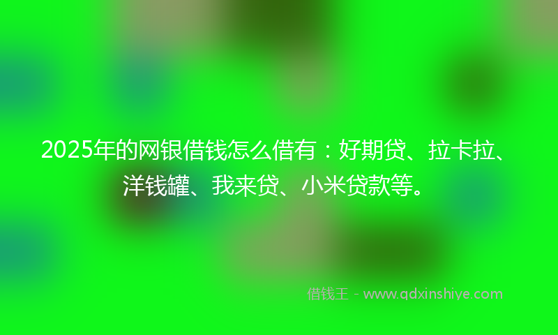 2025年的网银借钱怎么借有：好期贷、拉卡拉、洋钱罐、我来贷、小米贷款等。