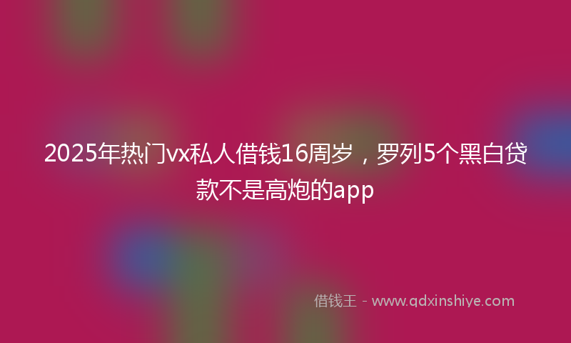 2025年热门vx私人借钱16周岁，罗列5个黑白贷款不是高炮的app