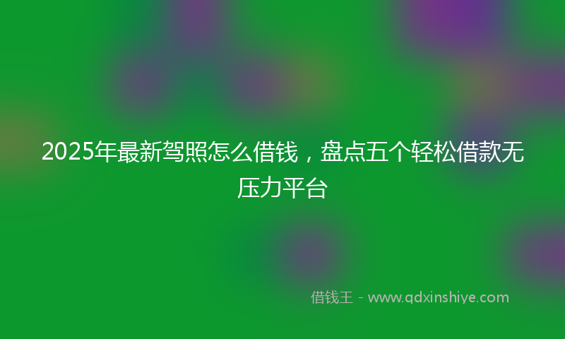 2025年最新驾照怎么借钱，盘点五个轻松借款无压力平台
