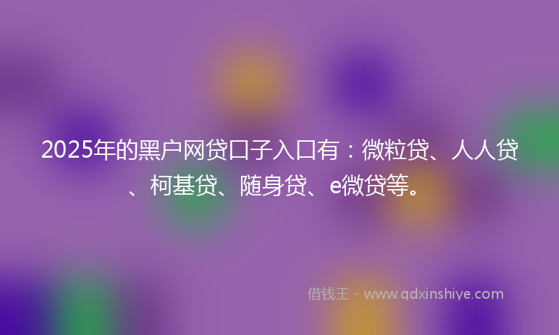 2025年的黑户网贷口子入口有：微粒贷、人人贷、柯基贷、随身贷、e微贷等。